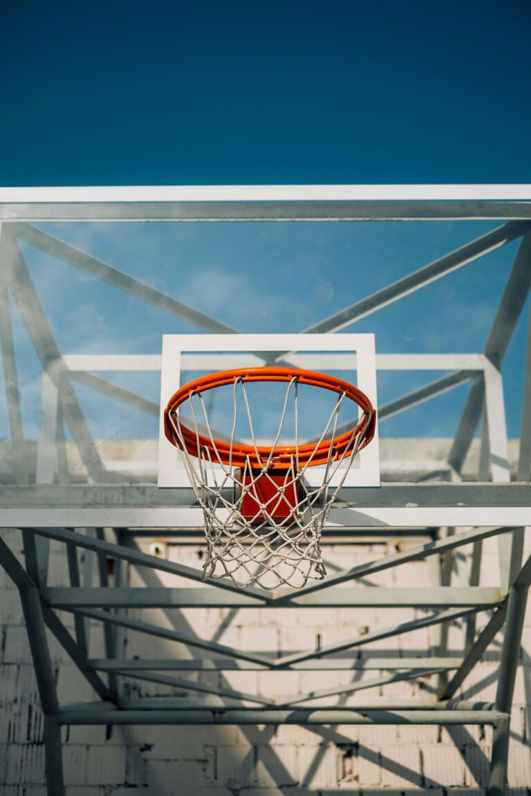 nikola-radojcic-WjLOVqvq56k-unsplash